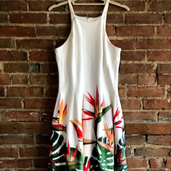 Calvin Klein dress - size 4 - Picture 2 of 2